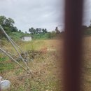 신영숙콜렉션 이미지