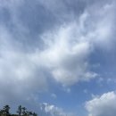 제주 4 청수미방/줄라이앤어거스트/애월해안도로/노도고등어회/빽다방