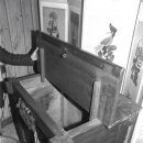 영조(아) 이미지