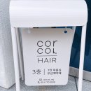꼬르꼬르 헤어(Corcor hair)