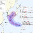 태풍 "난마돌" 남해안 아슬 아슬 지나쳐 일본 상륙 전망 이미지