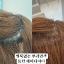 얼룩없는 뿌리염색! 동탄 헤어다이아