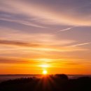 일출로4 이미지