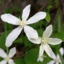 용담한옥 이미지