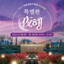 은하수 수목원 아파트 부1 | 국립세종수목원 야간개장 매년 방문하며 찾은 포토존과 꿀팁