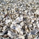 해강냉장 이미지