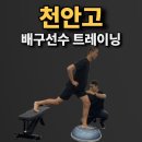 남부 선수 트레이닝 센터 | [천안pt] 천안고 배구부 트레이닝 후기