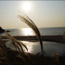 무의사랑공인중개사사무소 이미지