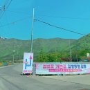 하나매점 | 사천 청룡사 겹벚꽃 경남 왕벚꽃 명소 가볼만한 절 주차장 시간