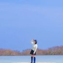 오션플러스