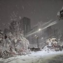 수원-0637 이미지