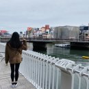 인바디 | 보미오라,감비환 내돈내산 인바디 후기 단계팁 , 공구가격