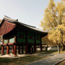 시간의향기 이미지