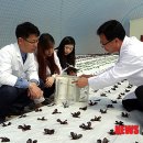 농업기술센터(통신사 설치)3 이미지