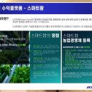 에이스농장 이미지