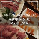 동문재래시장 | 제주 동문재래시장 회 포장 후기｜고등어회·방어·딱새우 가격 팁 정리