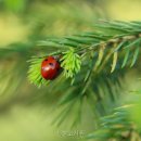 신형고시원