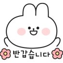 세화 엘라 이미지