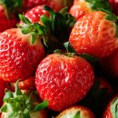 겨울 딸기의 맛과 영양소 이미지