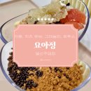 요거트아이스크림의정석일산