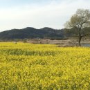 남평읍복지회관 이미지