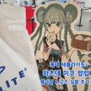 케이에코 | 홍대 하츠네 미쿠 팝업 AK플라자 새틀라이트 모치즈키 케이 굿즈 실물 웨이팅 후기