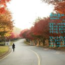 (주)화이트아웃 이미지