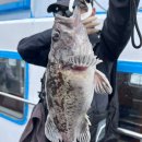 킹콩낚시 이미지