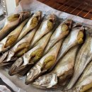 알이조아 | [바다조아] 푹신푹신한 알이 가득한 알도루묵 (도루묵, 내돈내산, 에어프라이어)_서이추환영