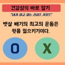 커브스작전클럽