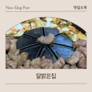 밝은 집