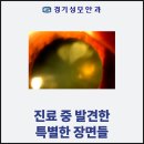 경기성모안과