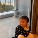 초당약국 이미지