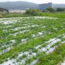 분천농장 이미지