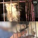 이목농장 네이버블로그