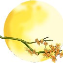 경동메디칼약국 - 상주시 상산로 251 | 경동메디칼약국