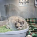 센텀동물종합병원 이미지