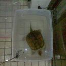 마들역(7호선) 이미지