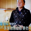 팝스 잉글리쉬 B | 전설적존재.국내 처음 반려견 행동전문 훈련사