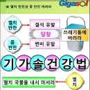 기가솔
