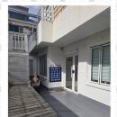 금성대행