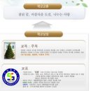 도담중학교 이미지