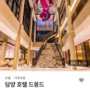 호텔 드 휴식 | 담양 호텔 드몽드 수영장 조식 후기 메타세콰이아길 산책까지 완벽 숙소