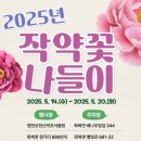 정길농장 | (2025 영천 작약꽃축제장 총정리-최종수정) 5월 대구근교 가볼만한곳