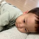 태하