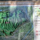 백률사 - 924 | 백률사