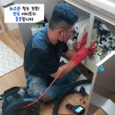다이소(종암동) 네이버블로그