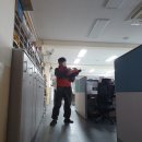 일광방역
