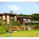 토마토빌리지펜션 이미지