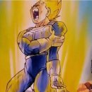 타이트짐 이미지